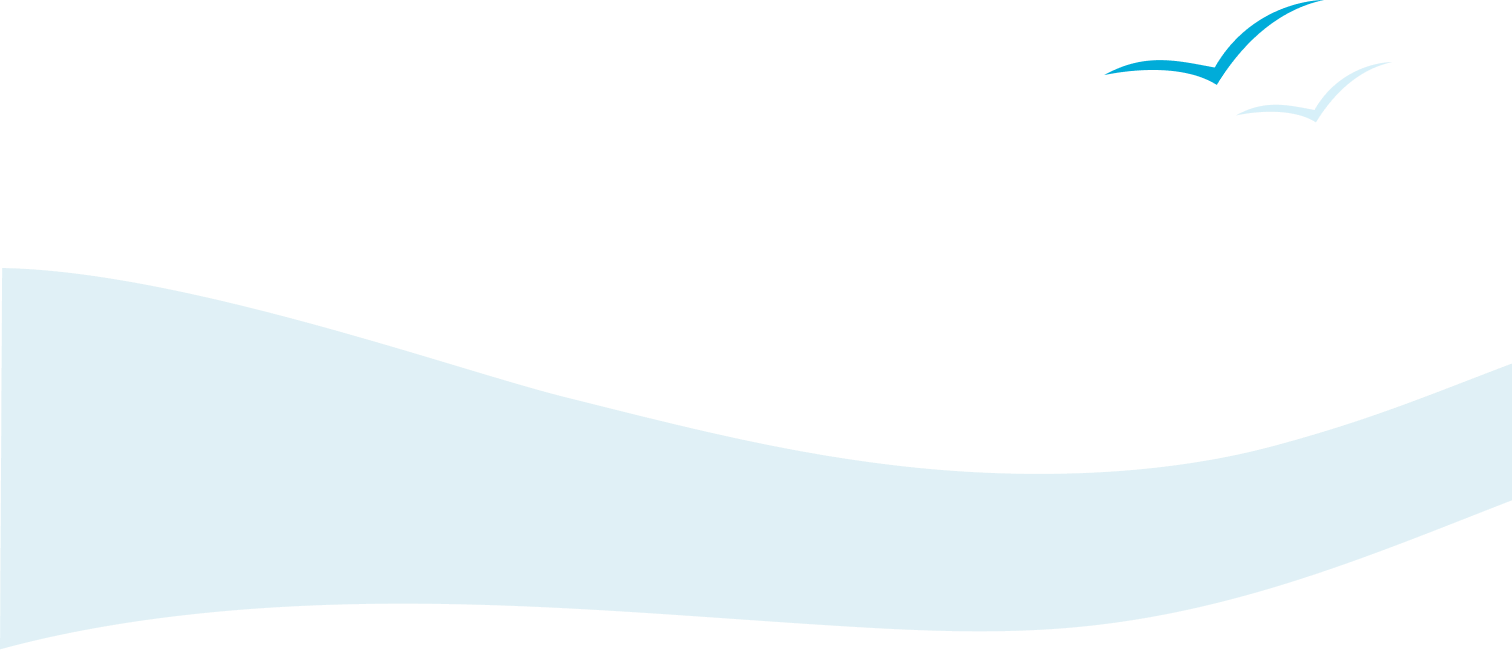 Section 3 Background Image