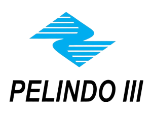 Pelindo III